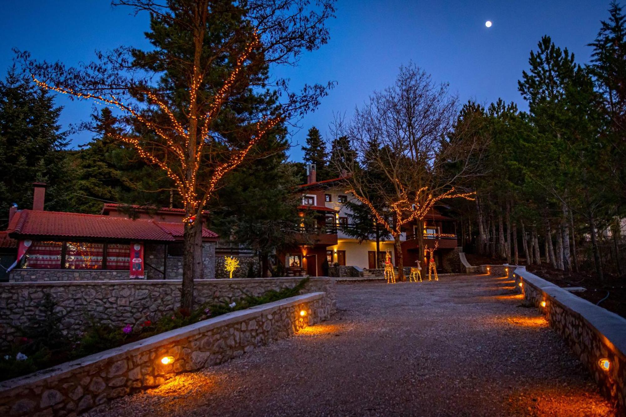 Mz Reindeer Otel Kalívia Dış mekan fotoğraf