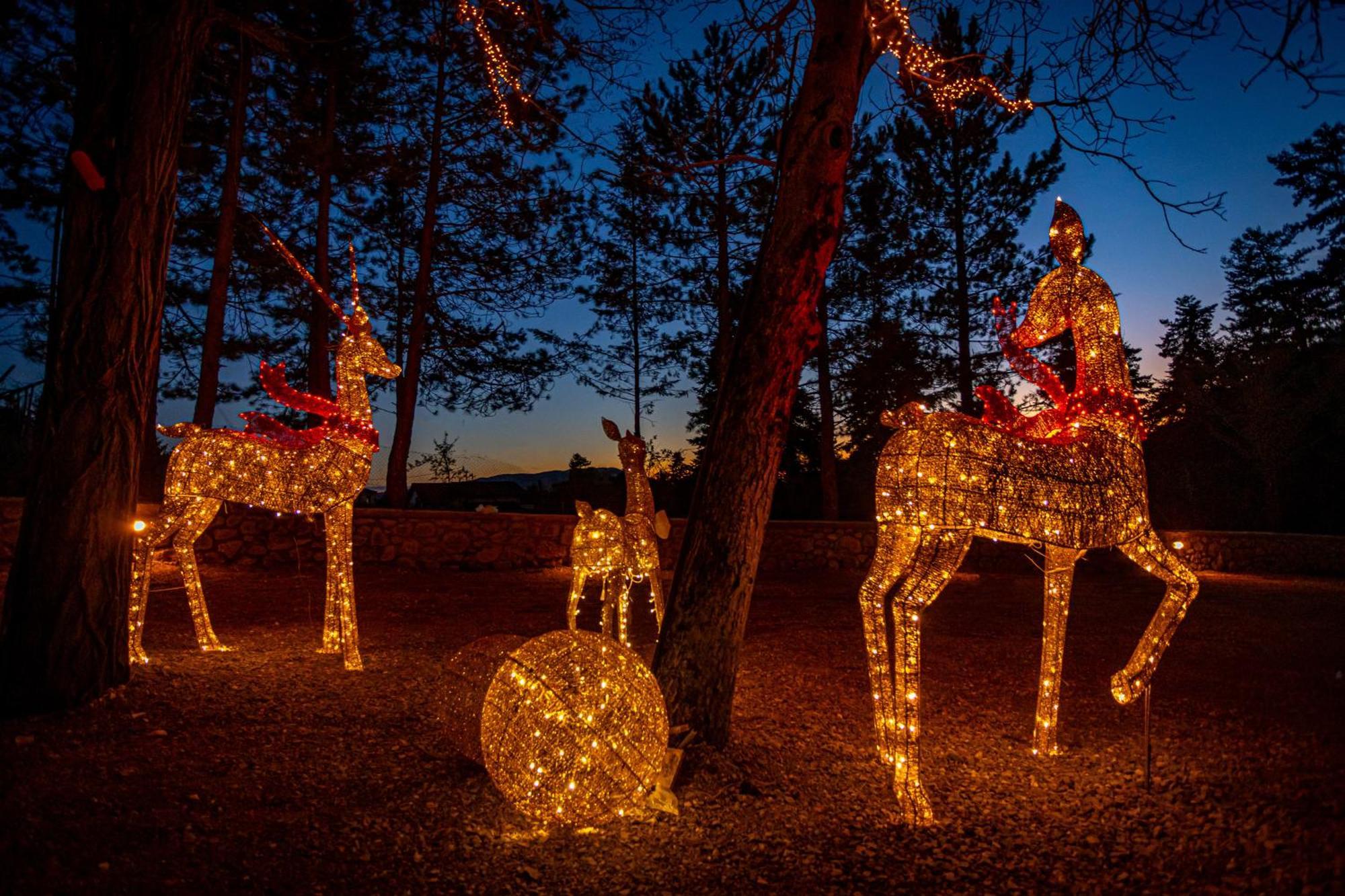 Mz Reindeer Otel Kalívia Dış mekan fotoğraf